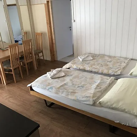 Apartment Frymannstrasse Zurich